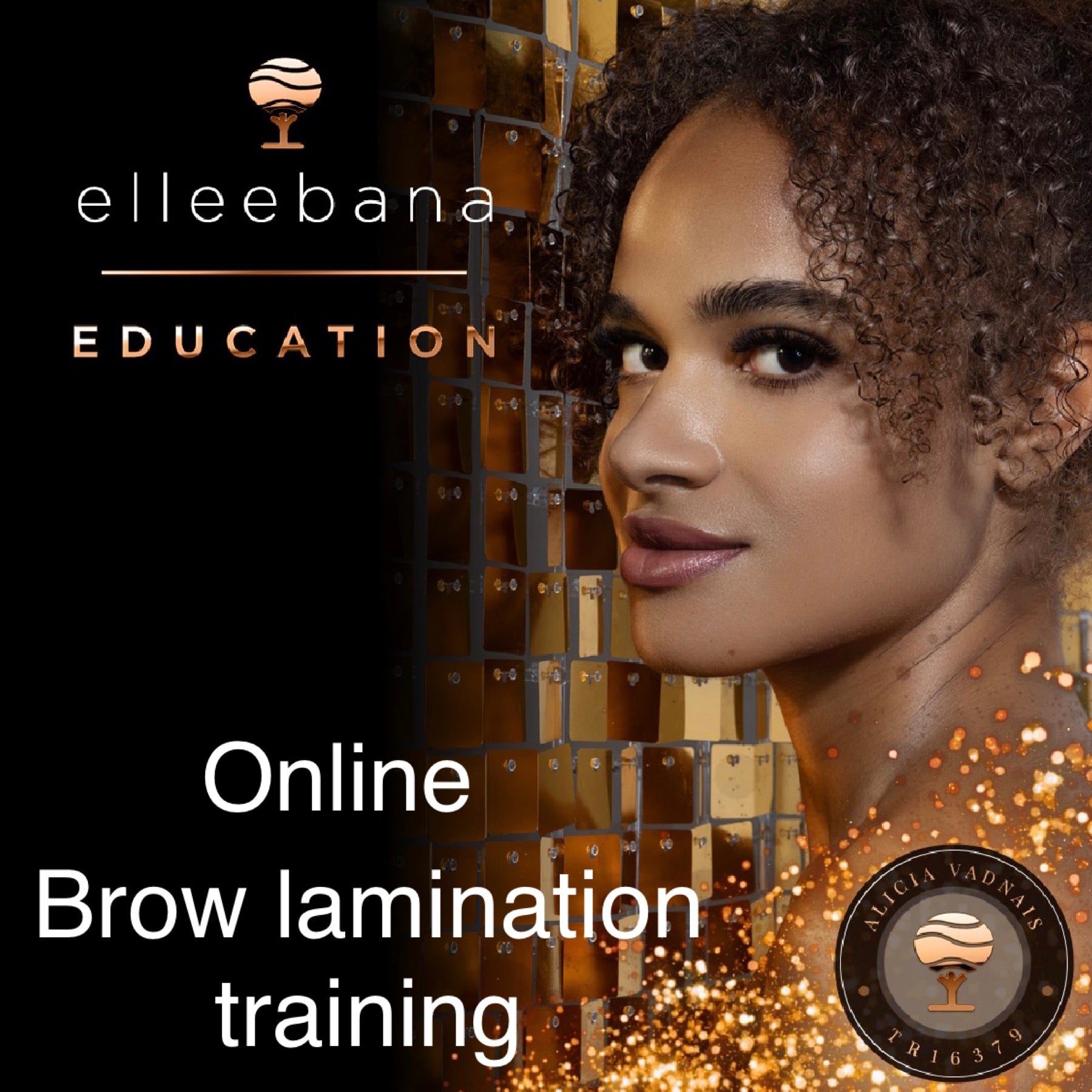 Elleeplex Profusion Brow Lamination ONLINE Certification – Alicia Vadnais